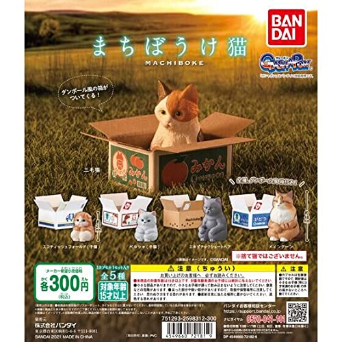 猫さましあわせ地蔵❤️3点セット‼️ 京焼 招き猫 座布団付き 幸運招き猫/フォーチュンキャット/ペア
